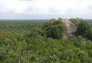 Visite de Calakmul, une cité maya au coeur de la jungle mexicaine